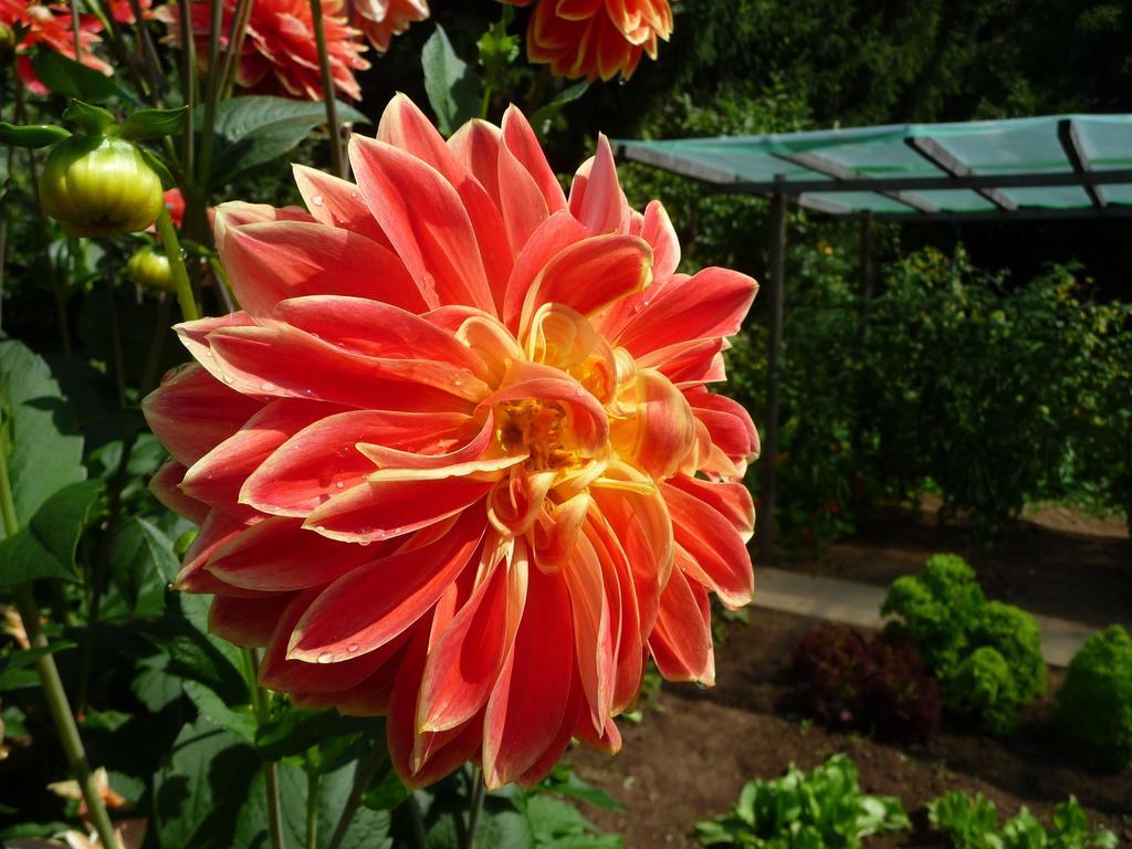 Ferienhaus Gartenlust Dierdorf 客房 照片